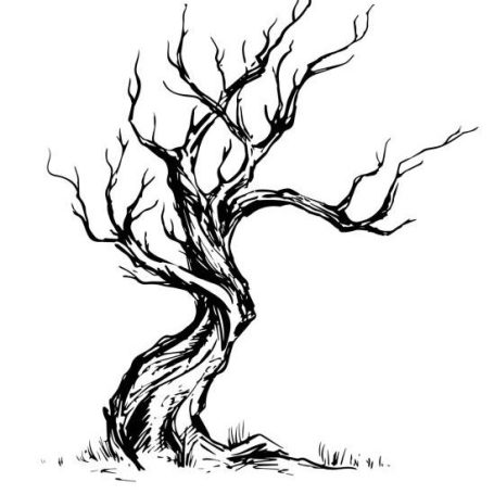 A twisted, leafless tree with gnarled branches and a rough texture.